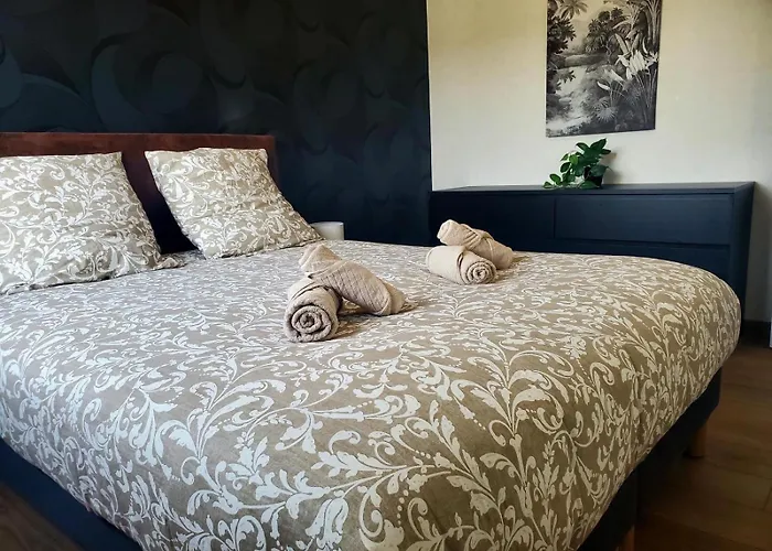 Apartamento Le Cocon Clermontois - T2 Centre Clermont-Ferrand